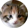 Laura Dyer Avatar